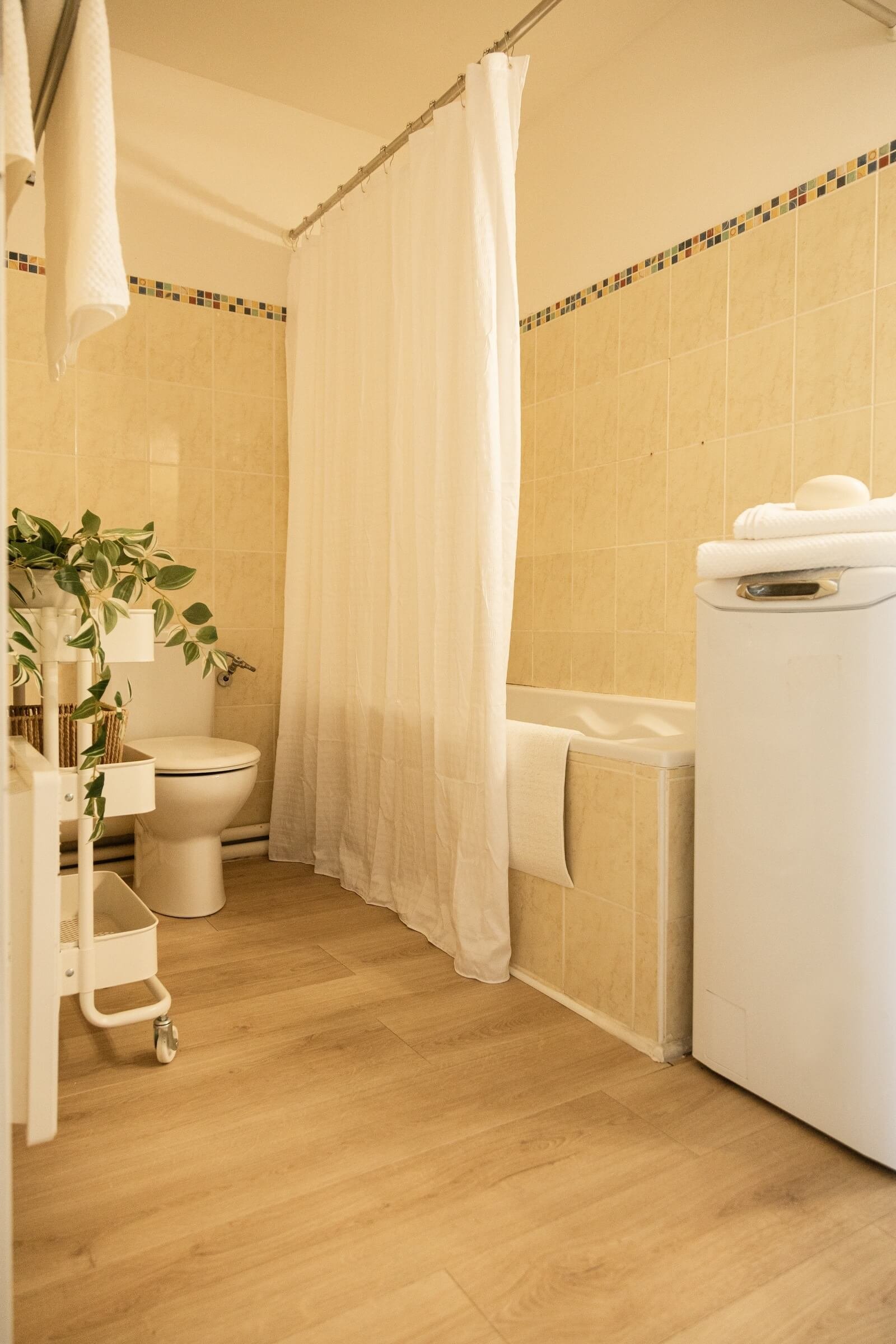 PROYECTO HORTENSIAS (6)